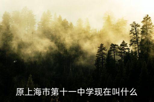上海市靜安實驗中學官網，上海實驗中學的校網是什么