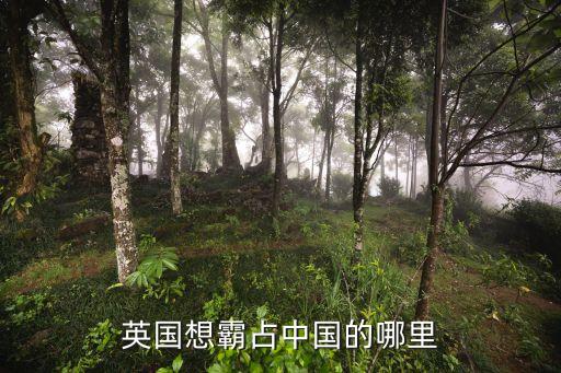 英國想霸占中國的哪里