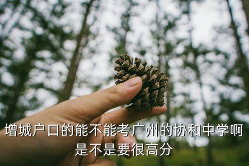 廣州協和初中報考條件，我平時分數大概650分左右可以報考廣州協和中學或者65中嗎謝謝