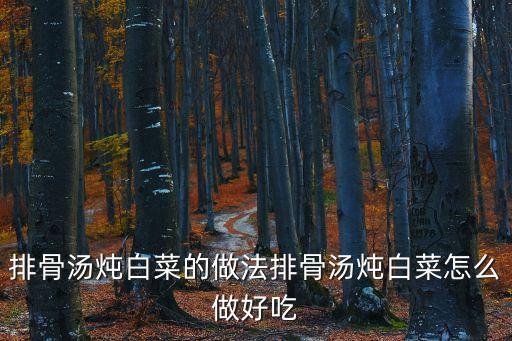 排骨湯燉白菜的做法排骨湯燉白菜怎么做好吃