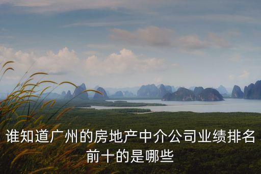 誰知道廣州的房地產(chǎn)中介公司業(yè)績排名前十的是哪些