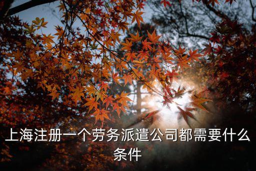 上海市 勞務(wù)派遣，上海勞務(wù)派遣公司當(dāng)中最牛是哪家