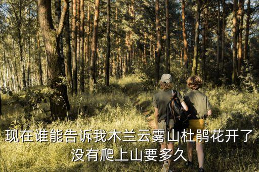 現在誰能告訴我木蘭云霧山杜鵑花開了沒有爬上山要多久
