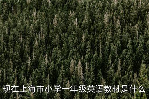 現(xiàn)在上海市小學(xué)一年級英語教材是什么