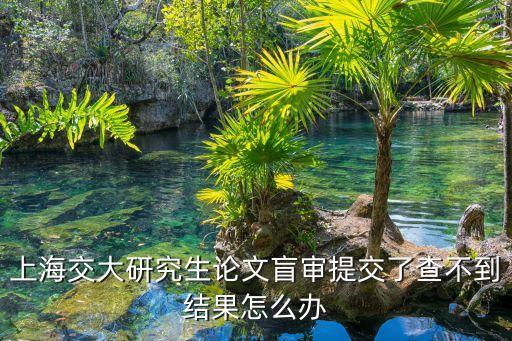論文查重 上海市盲審，今年研究生論文查重后是不是直接送盲審了