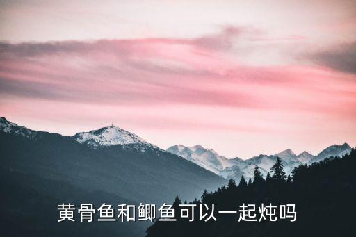 黃骨魚怎么做，黃骨魚怎么煮給寶寶吃才營養