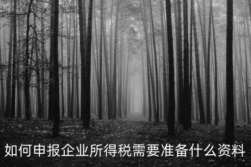 如何申報企業所得稅需要準備什么資料