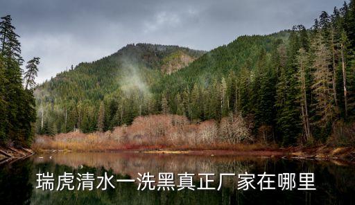 清水染發劑廣州產，瑞虎清水一洗黑真正廠家在哪里