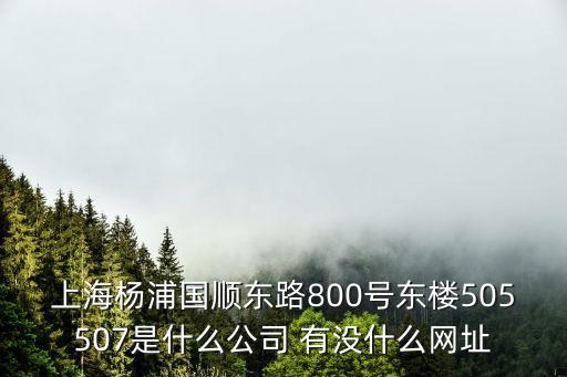上海市瑞戀貿易有限公司電話號碼，上海楊浦國順東路800號東樓505507是什么公司 有沒什么網址