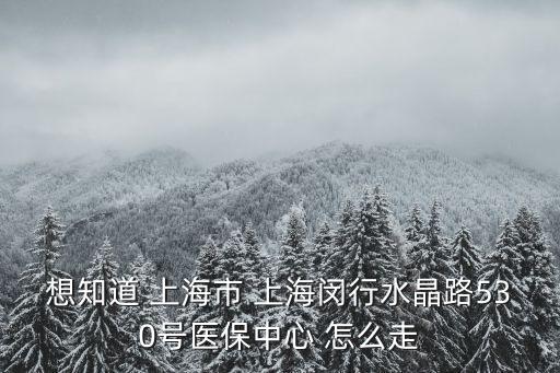 上海市護理學會公注號，想知道 上海市 上海閔行水晶路530號醫保中心 怎么走