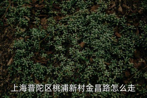 上海市金昌西路，上海金昌西路貨車限行嗎