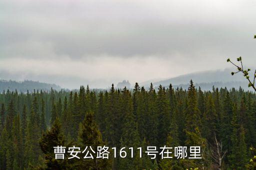 曹安公路1611號在哪里