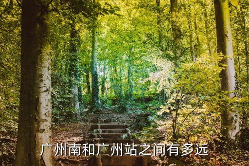 廣州南和廣州站之間有多遠