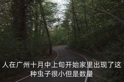 人在廣州十月中上旬開始家里出現了這種蟲子很小但是數量