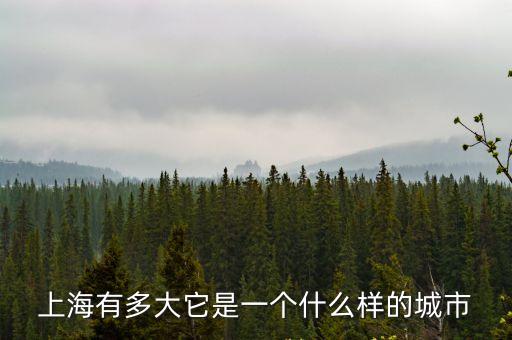 上海市城市全景，上海有多大它是一個什么樣的城市