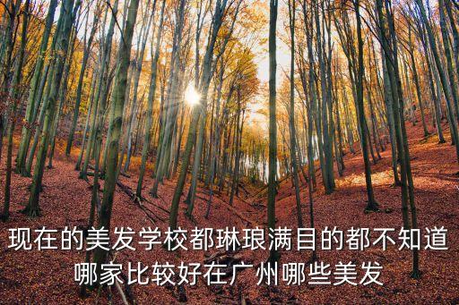 廣州燙染培訓學校哪家好，廣州最好的美發學校有哪幾家誰推薦謝謝