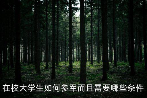 大學生參軍，大學生可以當兵么