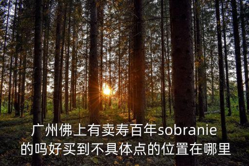 廣州薄荷綠專(zhuān)賣(mài)店，廣州佛上有賣(mài)壽百年sobranie 的嗎好買(mǎi)到不具體點(diǎn)的位置在哪里