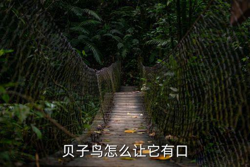 貝子鳥怎么讓它有口