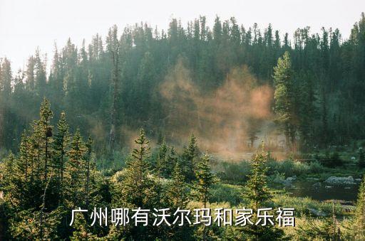 廣州員村山頂站附近超市，廣州天河區黃浦大道中員村家樂福怎樣去啊