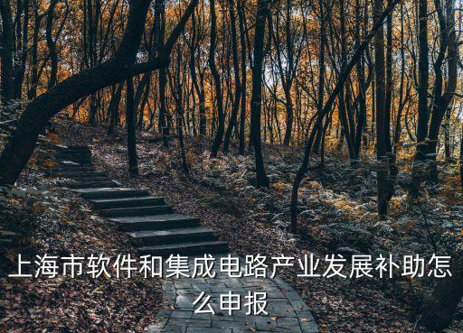 上海市軟件和集成電路產業發展補助怎么申報