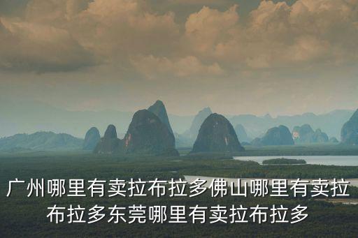 廣州哪里有賣拉布拉多佛山哪里有賣拉布拉多東莞哪里有賣拉布拉多