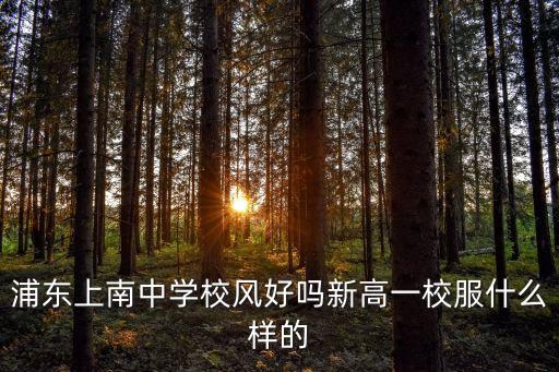 浦東上南中學校風好嗎新高一校服什么樣的
