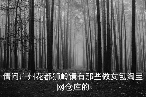 廣州獅嶺電商倉儲生活，請問廣州花都獅嶺鎮(zhèn)有那些做女包淘寶網(wǎng)倉庫的