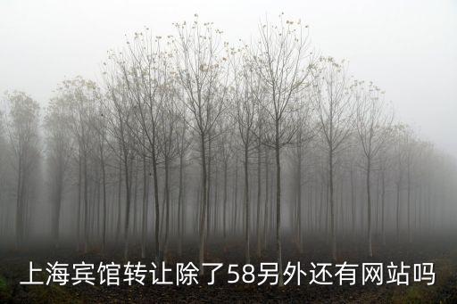 上海市旅店轉讓，我在上海有一個酒店需轉讓出去不知如何才能找到下家