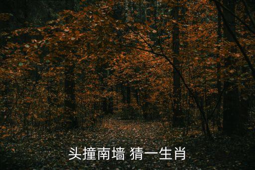 頭撞南墻，頭撞南墻 猜一生肖