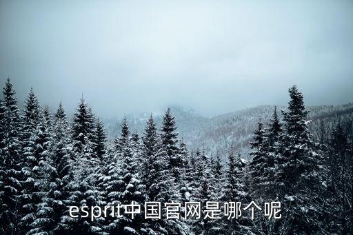esprit中國官網是哪個呢
