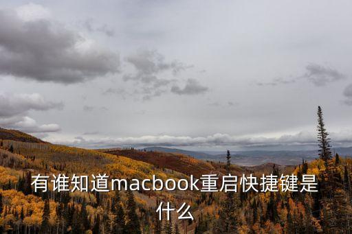 有誰知道macbook重啟快捷鍵是什么