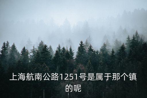 上海航南公路1251號是屬于那個鎮的呢