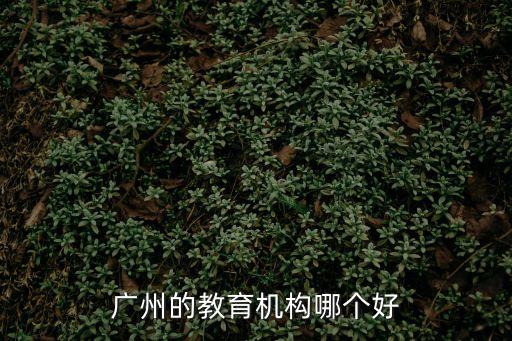廣州的教育機(jī)構(gòu)哪個(gè)好