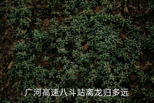 廣州高速八斗入口，廣州東區怎么上廣河高速