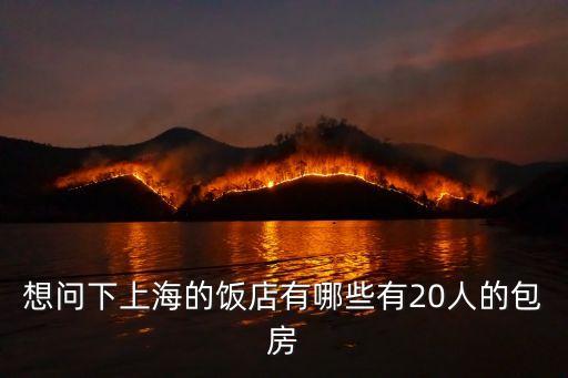 上海市東湖賓館一號樓包房，去上海東湖臨港大酒店到2號線龍陽路下來后公交車怎么轉急啊