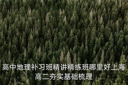 上海市第二中學 王穎，高中地理補習班精講精練班哪里好上海高二夯實基礎梳理