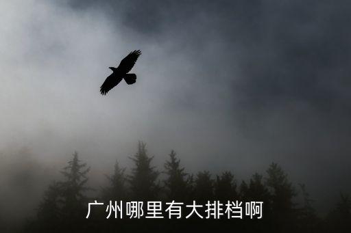 廣州十七涌大排檔，廣州哪里有大排檔啊