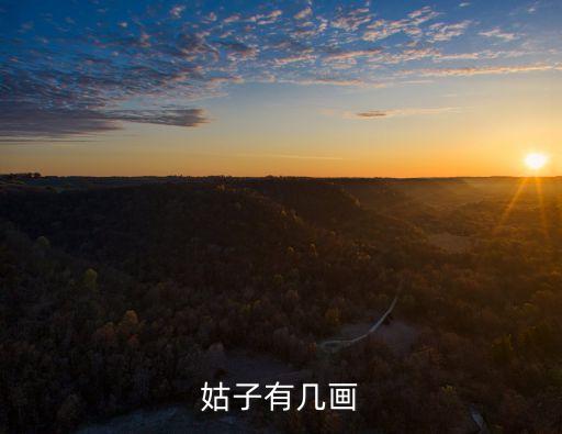 姑姑造句，姑姑在做生意 擴(kuò)句
