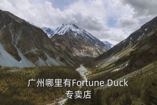 廣州哪里有Fortune Duck專賣店