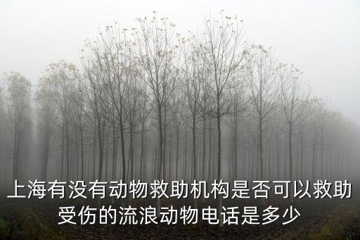 上海有沒(méi)有動(dòng)物救助機(jī)構(gòu)是否可以救助受傷的流浪動(dòng)物電話是多少
