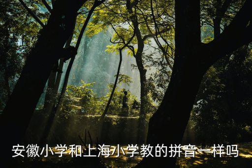 上海市語文拼音，上海哪里有幼小拼音培訓(xùn)班小學(xué)一年級語文補習(xí)哪家好