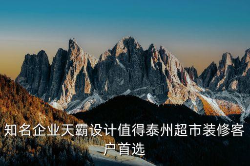 知名企業天霸設計值得泰州超市裝修客戶首選