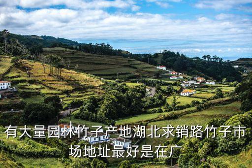 有大量園林竹子產(chǎn)地湖北求銷路竹子市場(chǎng)地址最好是在廣
