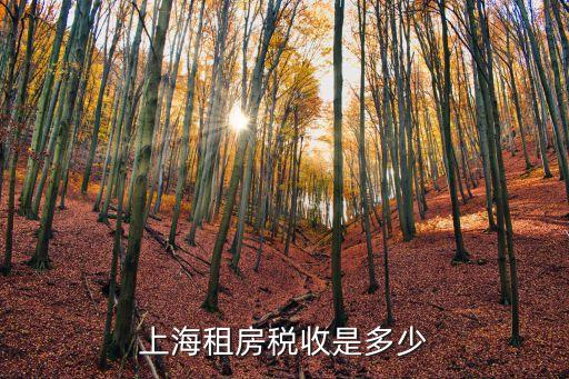 上海市房租稅包含，上海租房稅收是多少