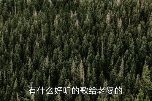 有什么好聽的歌給老婆的