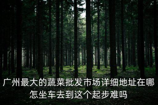 廣州市嘉華菜市場(chǎng)地址，廣州窖口嘉華是什么地方是在那里說仔細(xì)點(diǎn)