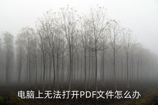pdf文件打不開，pdf文件打不開怎么辦