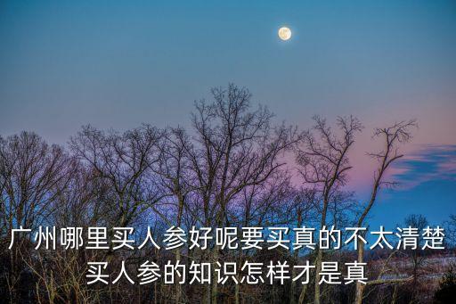 廣州哪里買人參好呢要買真的不太清楚買人參的知識怎樣才是真