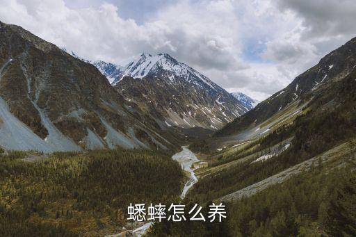 蟋蟀怎么養